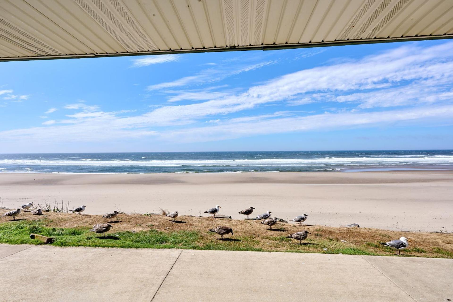 D Sands Rentals Lincoln City Room photo